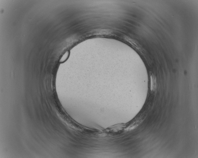 X0000060790253200512082131