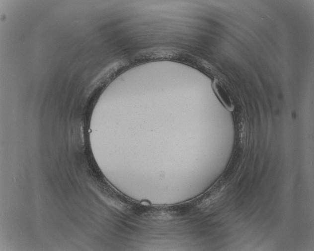 X0000060790254200512082131