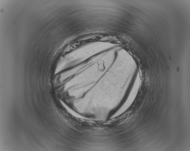 X0000060790256200512082131