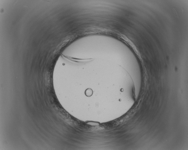 X0000060790257200512082131