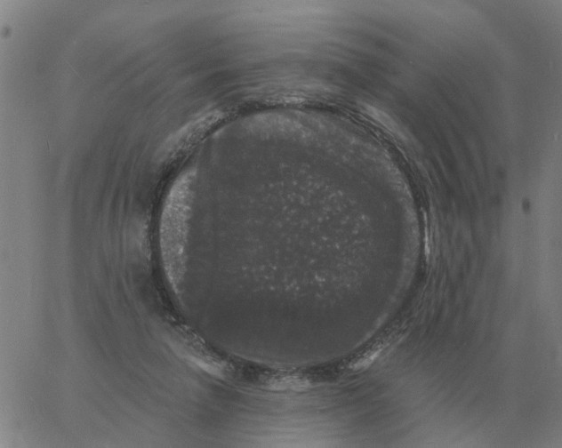 X0000060790258200512082131