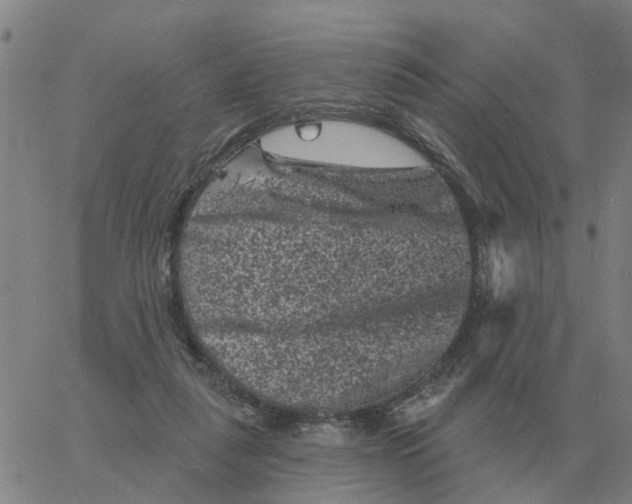 X0000060790259200512082131