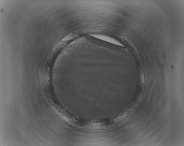 X0000060790260200512082131