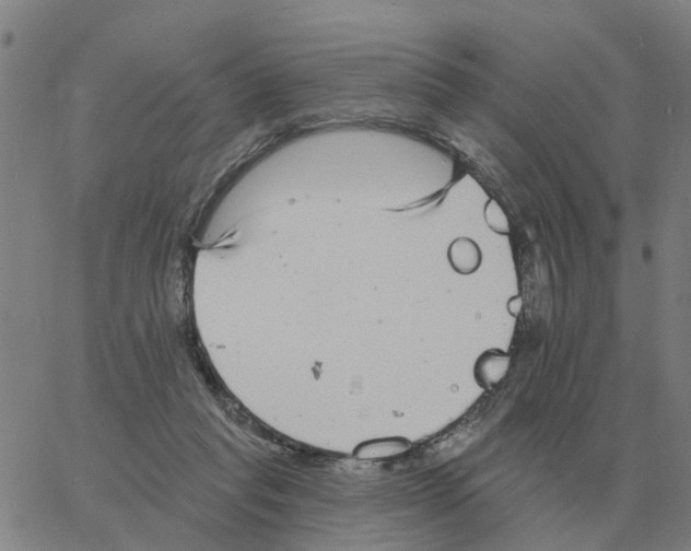 X0000060790261200512082131