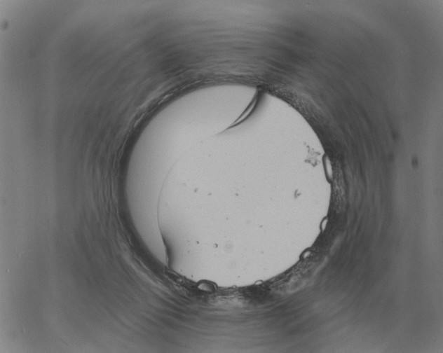 X0000060790262200512082131