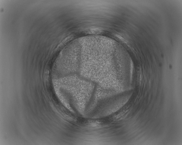 X0000060790263200512082131