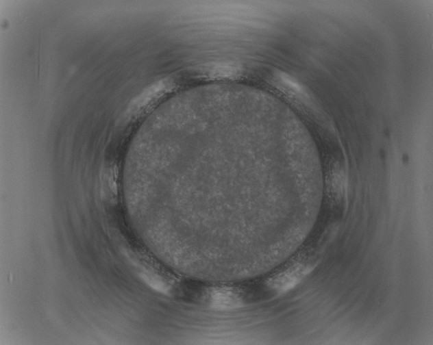 X0000060790264200512082131