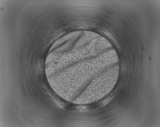 X0000060790265200512082131