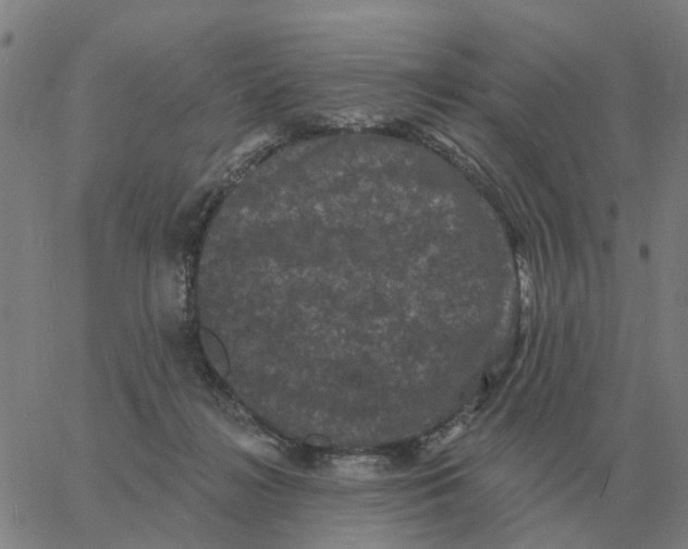 X0000060790268200512082132