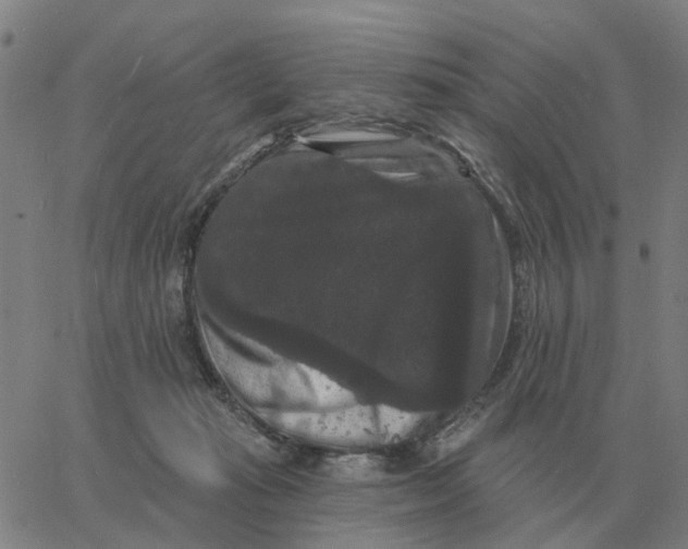 X0000060790269200512082132