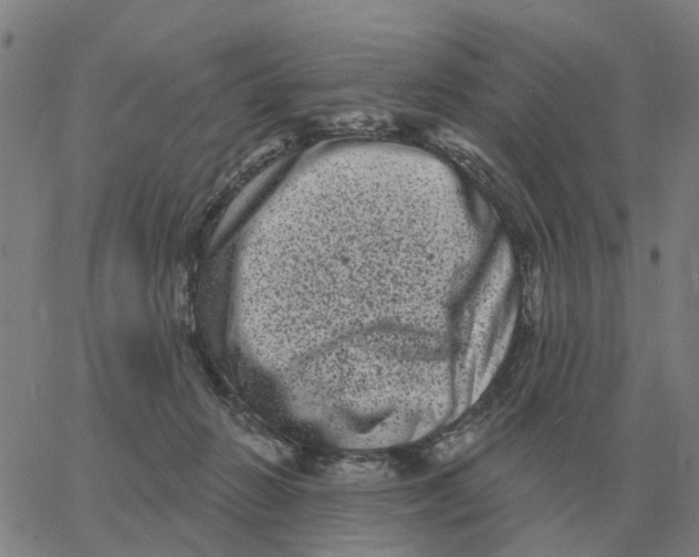 X0000060790270200512082132