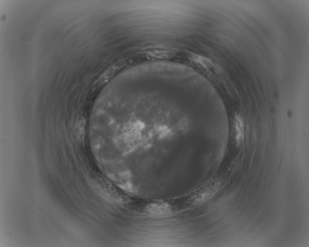 X0000060790271200512082132