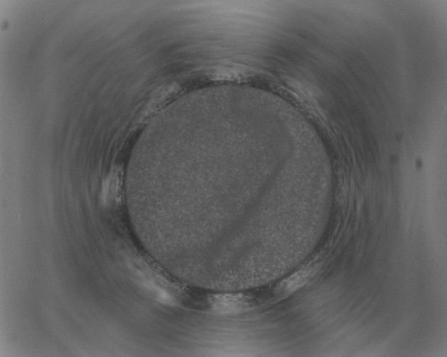 X0000060790273200512082132