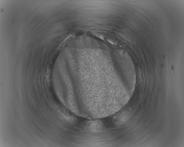 X0000060790275200512082132