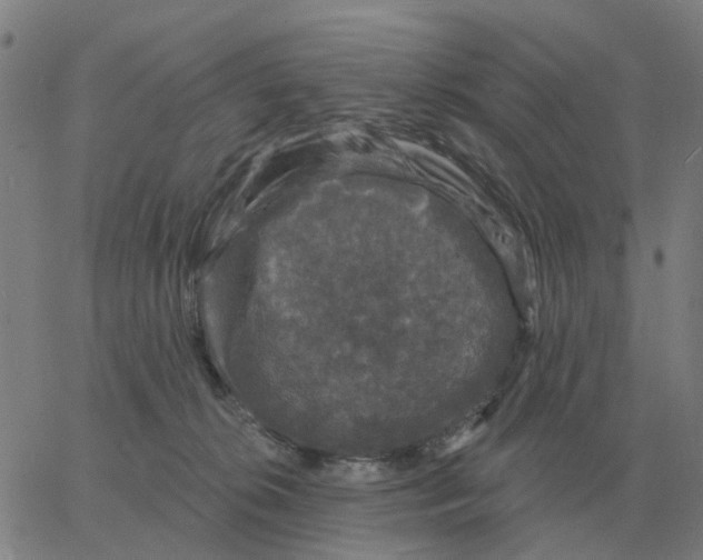 X0000060790276200512082132