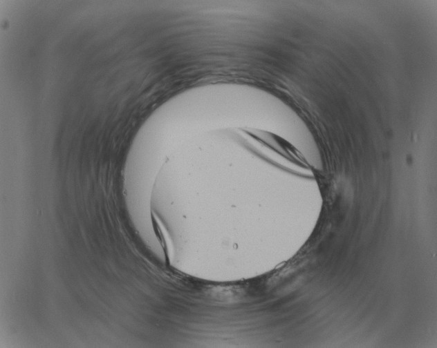 X0000060790277200512082132