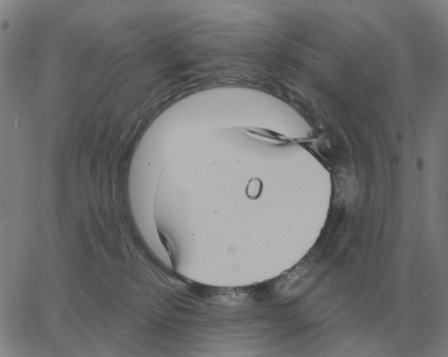 X0000060790278200512082132