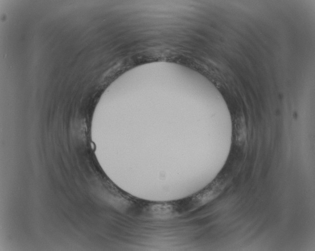 X0000060790279200512082132