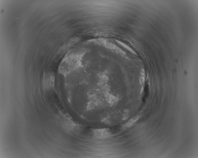 X0000060790281200512082132