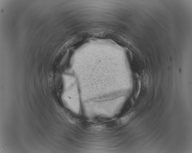 X0000060790283200512082132