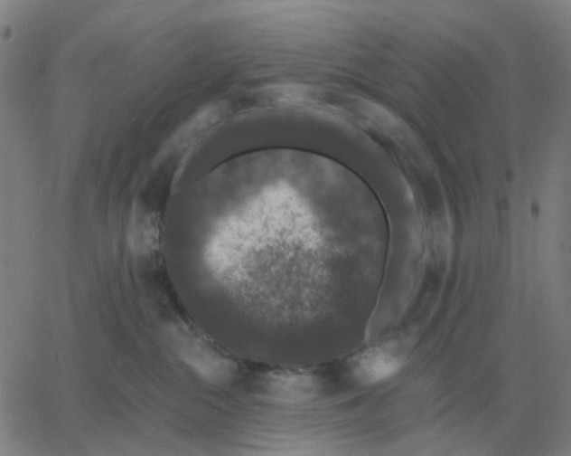 X0000060790284200512082132