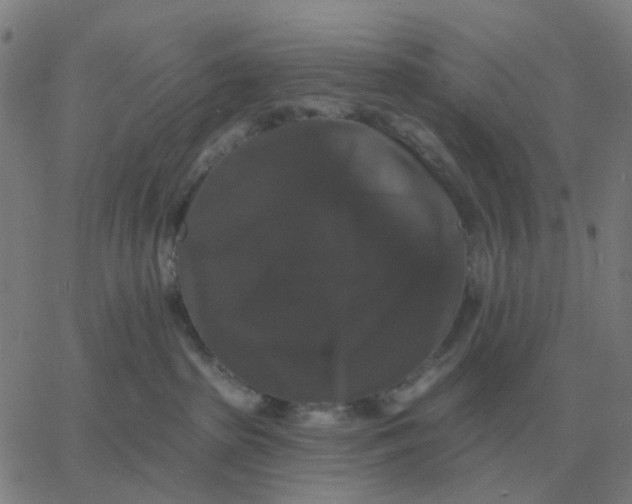 X0000060790285200512082132