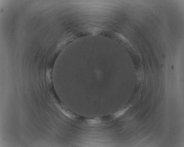 X0000060790286200512082132