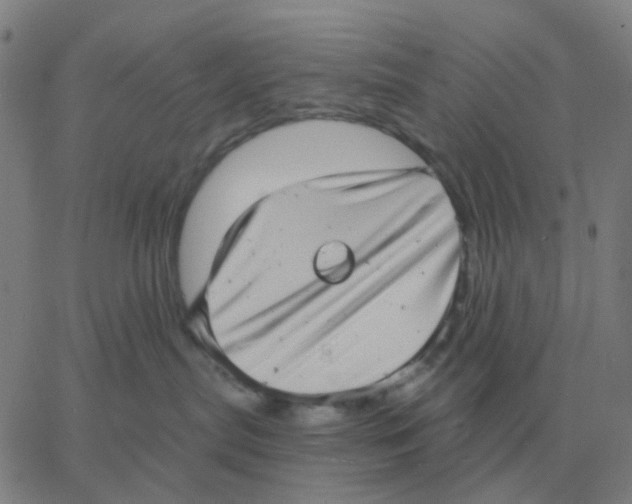 X0000060790287200512082132