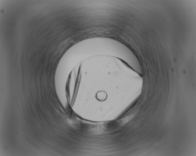 X0000060790288200512082132