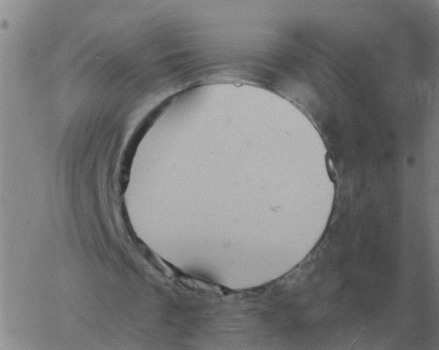 X0000060790289200512082131