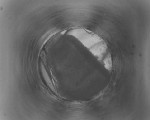 X0000060790290200512082131