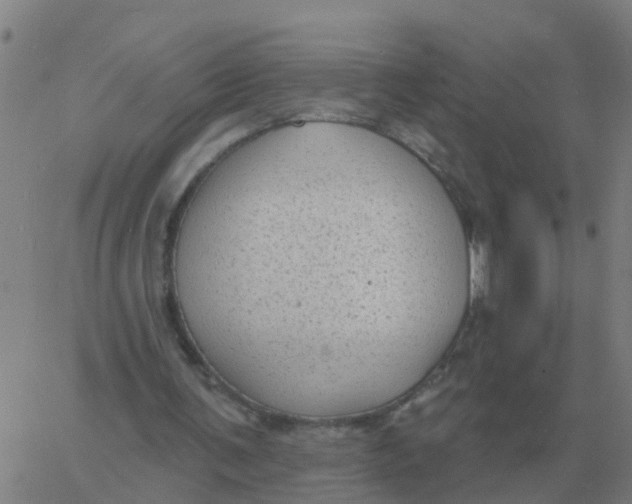 X0000060790291200512082131