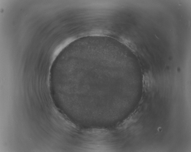 X0000060790292200512082131