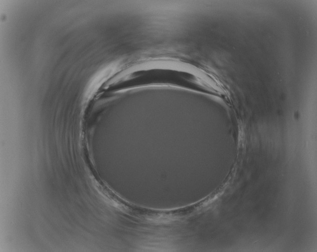 X0000060790293200512082131