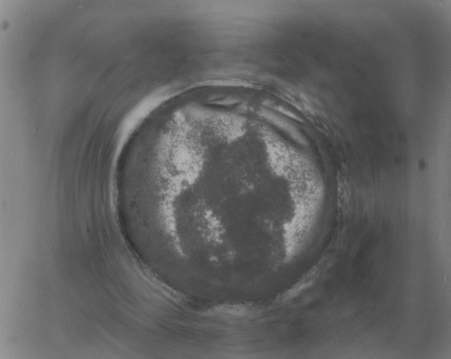 X0000060790294200512082131