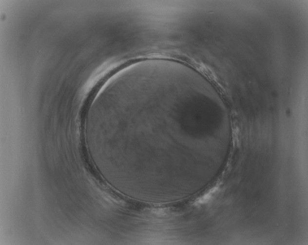 X0000060790295200512082131