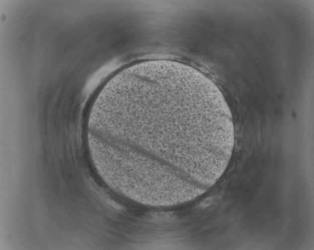 X0000060790296200512082131