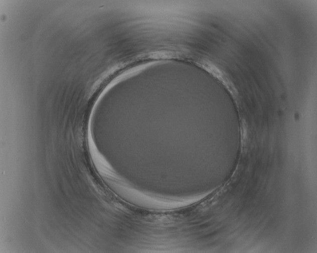 X0000060790297200512082131