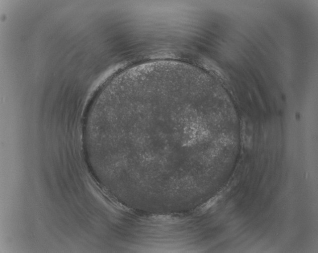 X0000060790298200512082131