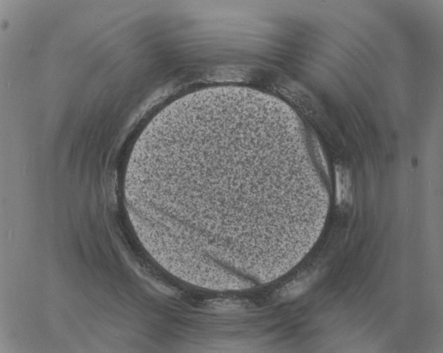 X0000060790300200512082131