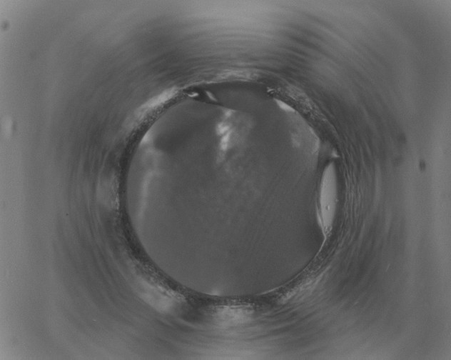 X0000060790303200512082131