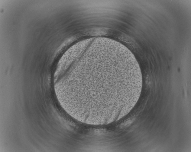 X0000060790304200512082131