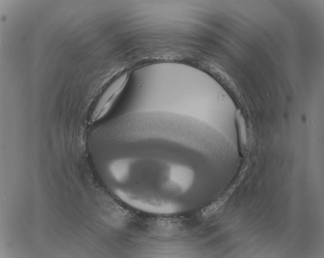 X0000060790305200512082131