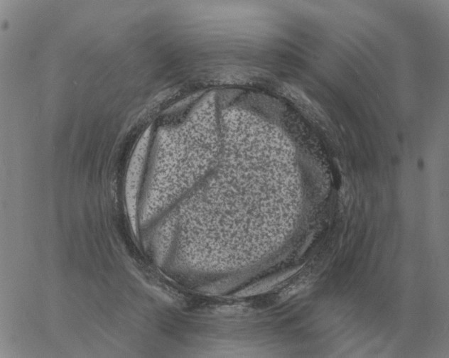 X0000060790306200512082131