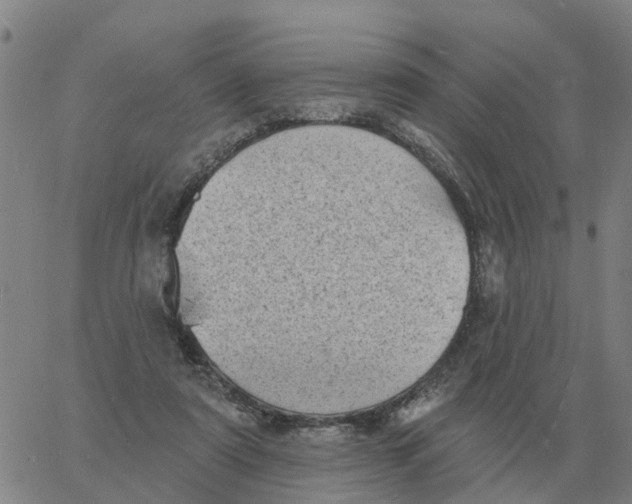 X0000060790307200512082131