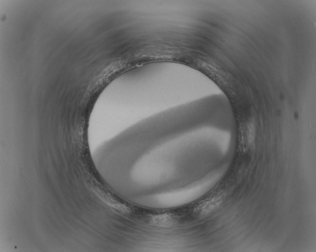 X0000060790309200512082131