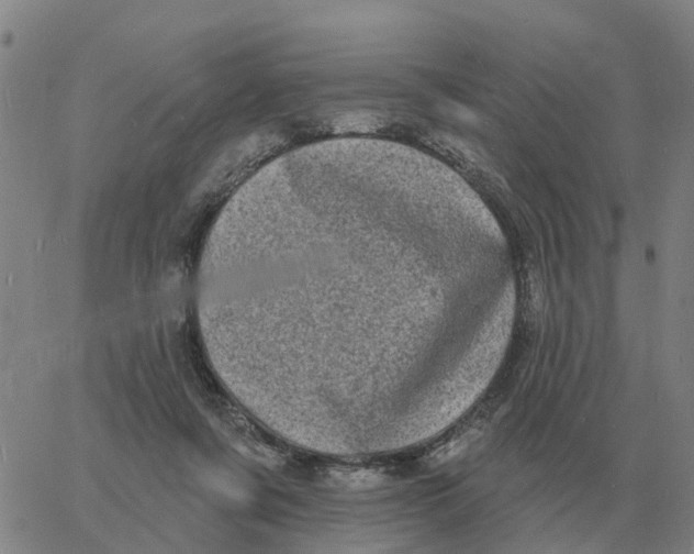 X0000060790311200512082131