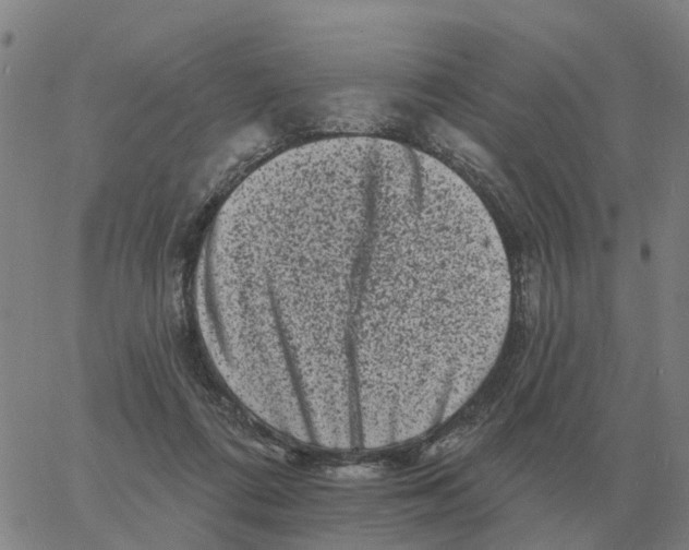 X0000060790312200512082131