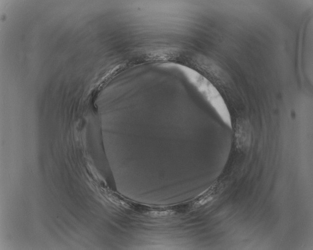 X0000060790314200512082131