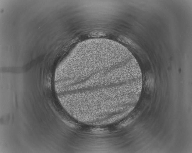 X0000060790315200512082131